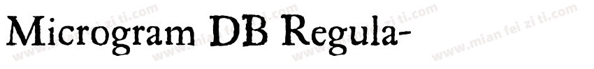 Microgram DB Regula字体转换